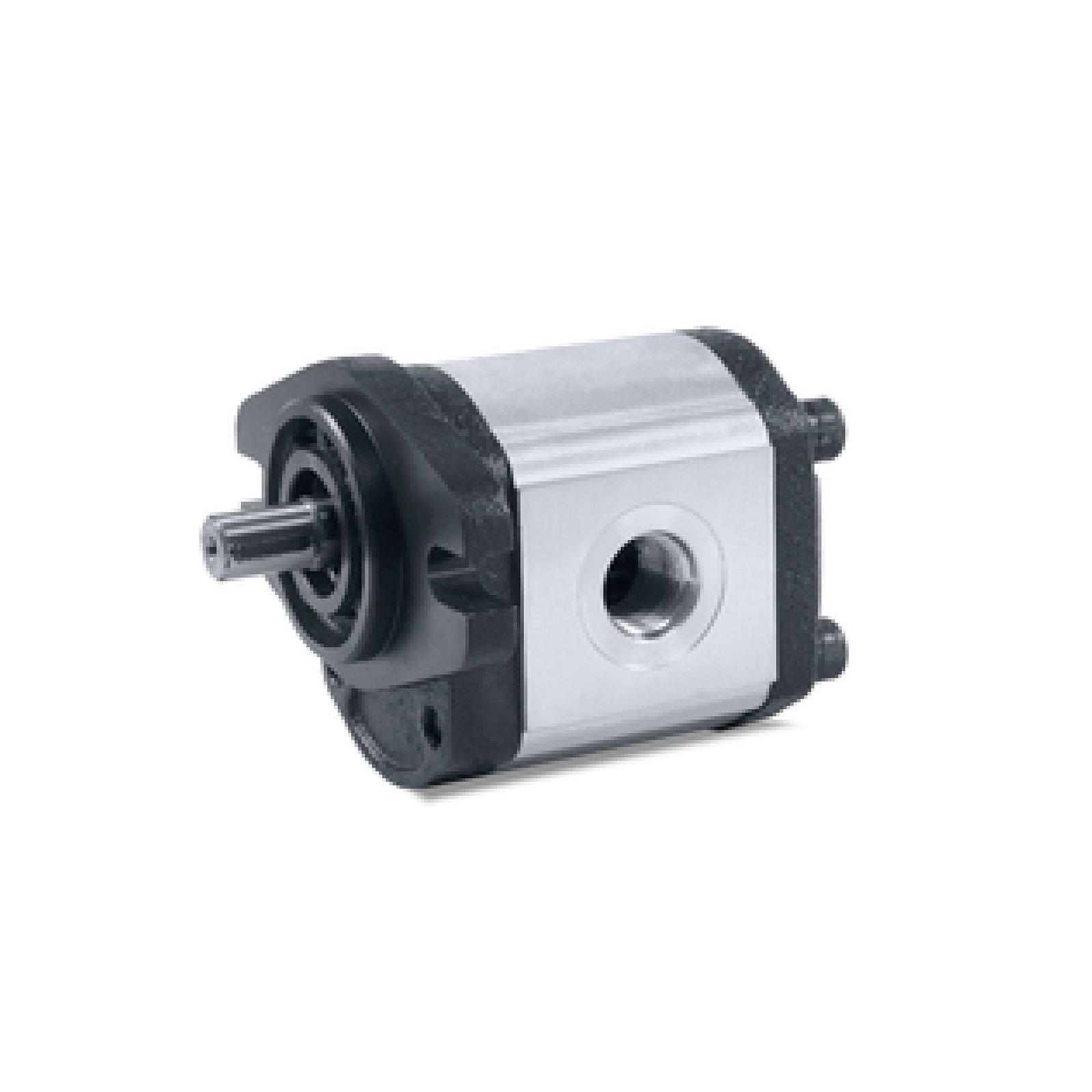 Bomba de Engrenagens G2 14 cm³