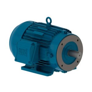 Motor Elétrico Trifásico 7,5 CV 4p